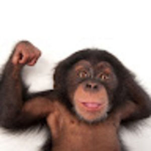 Meet your Posher, Derek